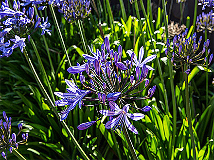 中欧体育下载客户案例一